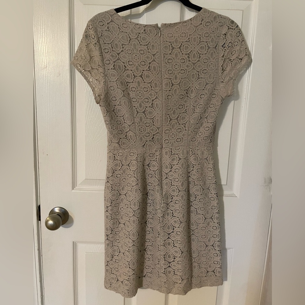 The Limited Dress